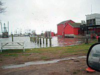 Fish & Feathers: Port of Ilwaco issues