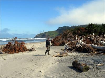 Coastal erosion gnaws at Cape D