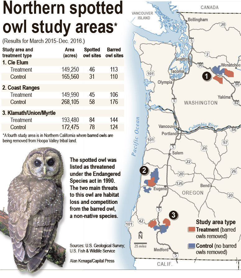 Biologists: Too Soon To Know If Killing Barred Owls Helps Spotted Owls ...