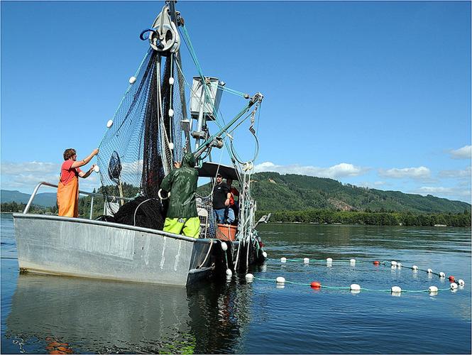 Commercial Fishing Methods: Seining