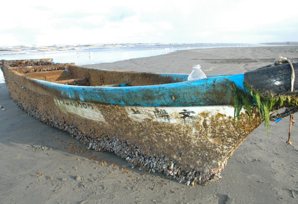 Tsunami Fish Castaways Go On Display At Oregon Coast