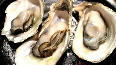 Oysters of the half shell