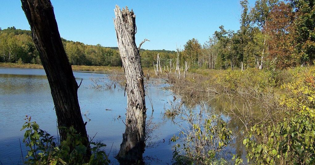 Indiana DNR wetlands program found out of compliance by federal government