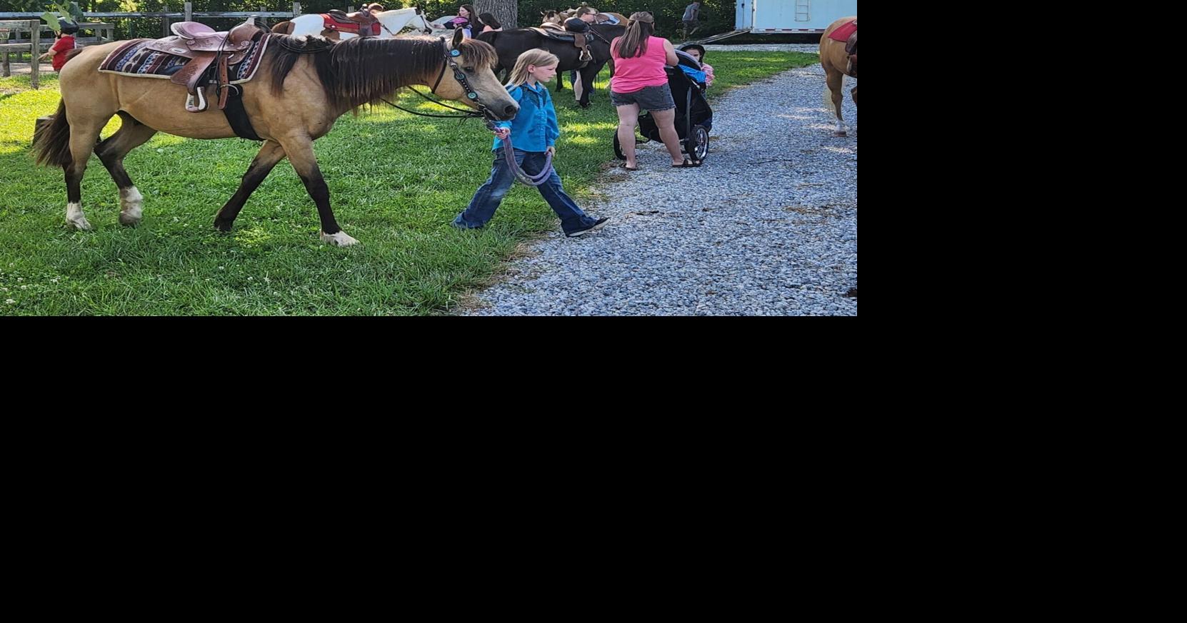 Reining them in for ribbons | News | chronicle-tribune.com