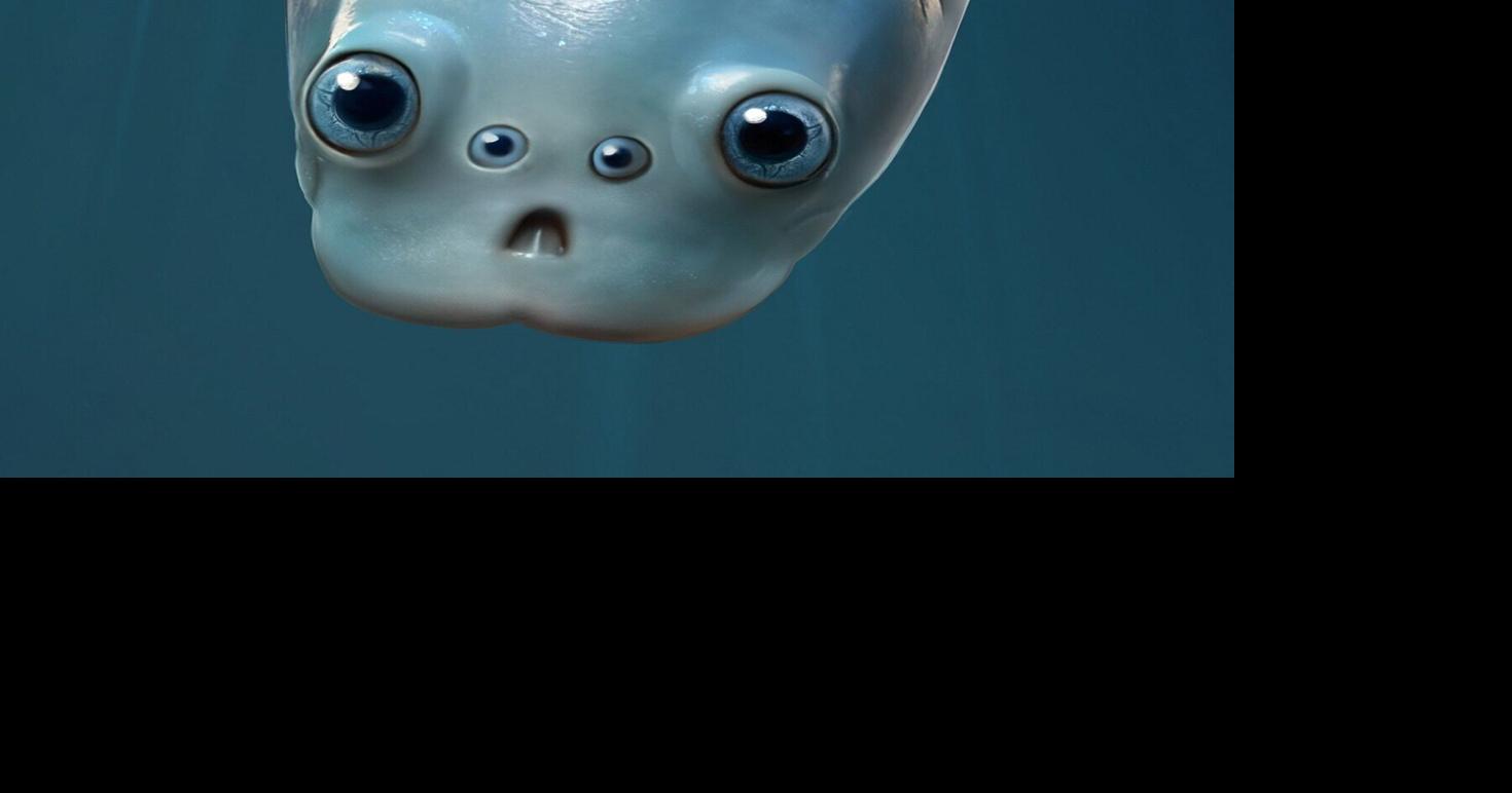 Fossils reveal oldest known vertebrates had four eyes