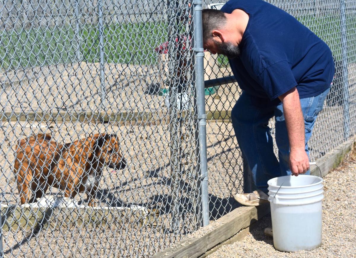 Humane Society In Need Of Donations Local News Chronicle Tribune Com