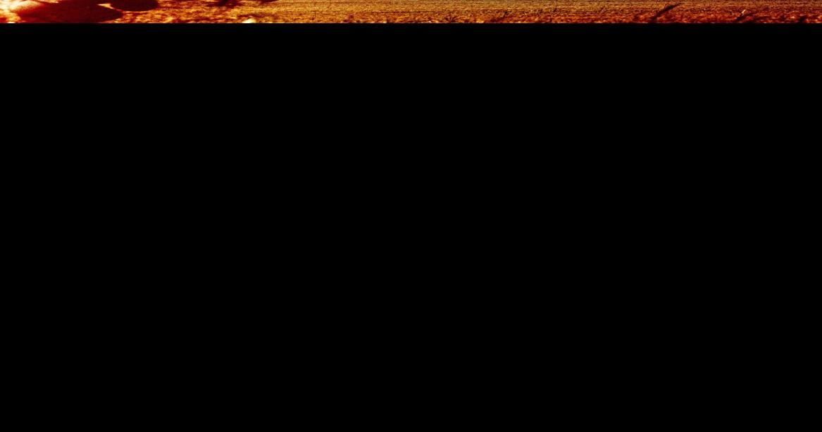 'Lightning Down A World War II Story of Survival'