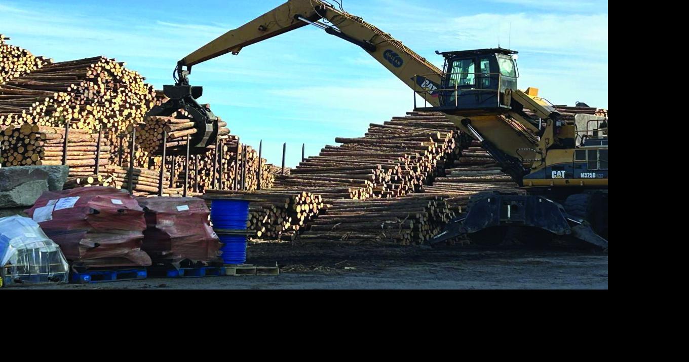 Gov't betting on Canada