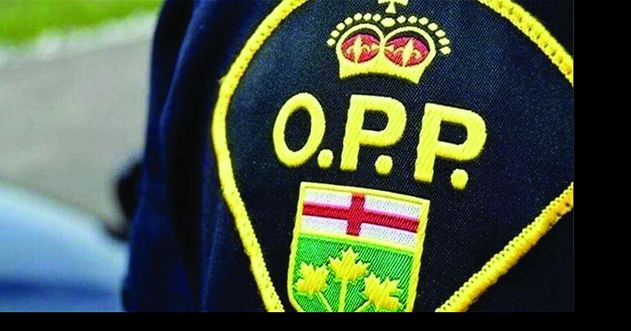 OPP officer's plan 'reasonably executed' | Local News ...