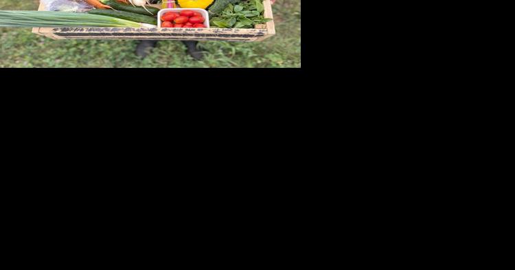 Harvest celebration on way - Vimarsana News
