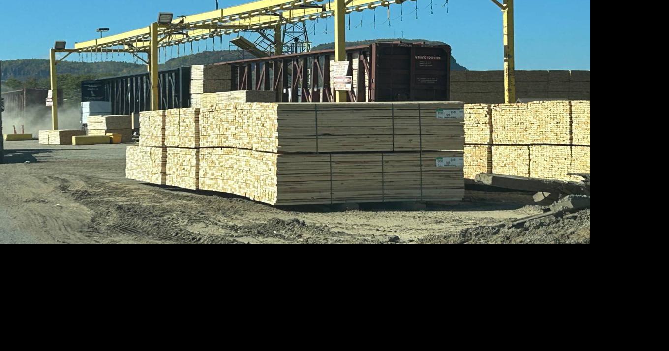 Economic resilience  in face of uncertainty