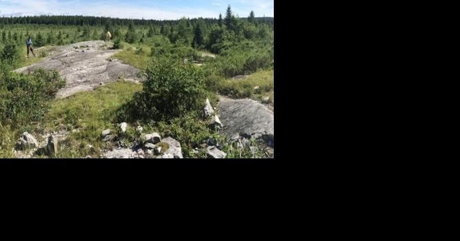 Firm sees opportunity for lithium mining, conversion - Vimarsana News