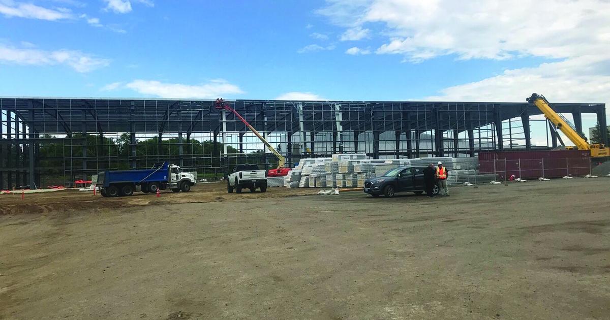 Multiplex cruises forward as more cash comes in