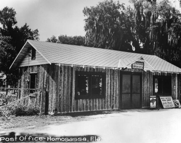 Homosassa: Routes of all evil | Local News | chronicleonline.com
