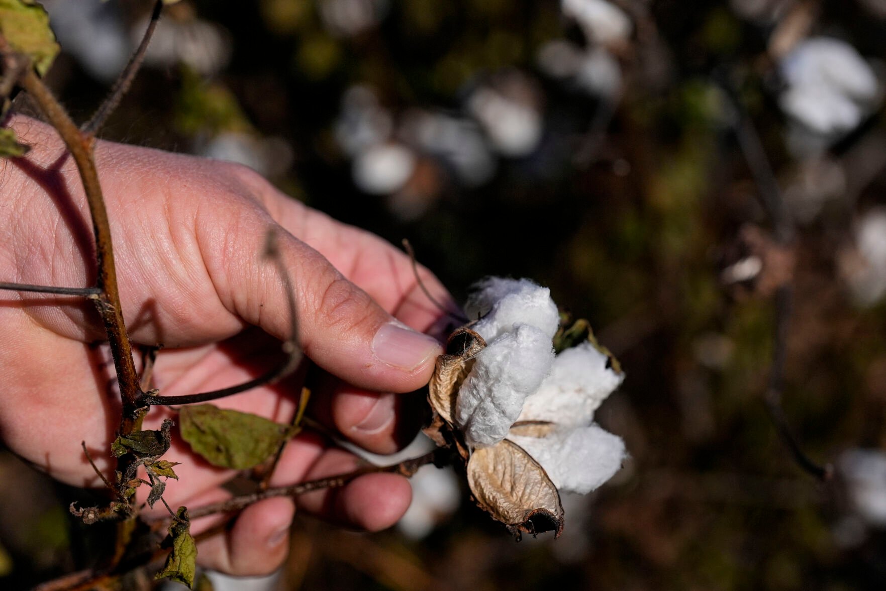 Farmers Are Still Reeling Months After Hurricane Helene Ravaged Crops ...