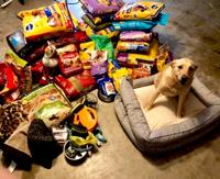 Kilos for Kilos: Couple makes use of birthday as time to assist pets | Native Information