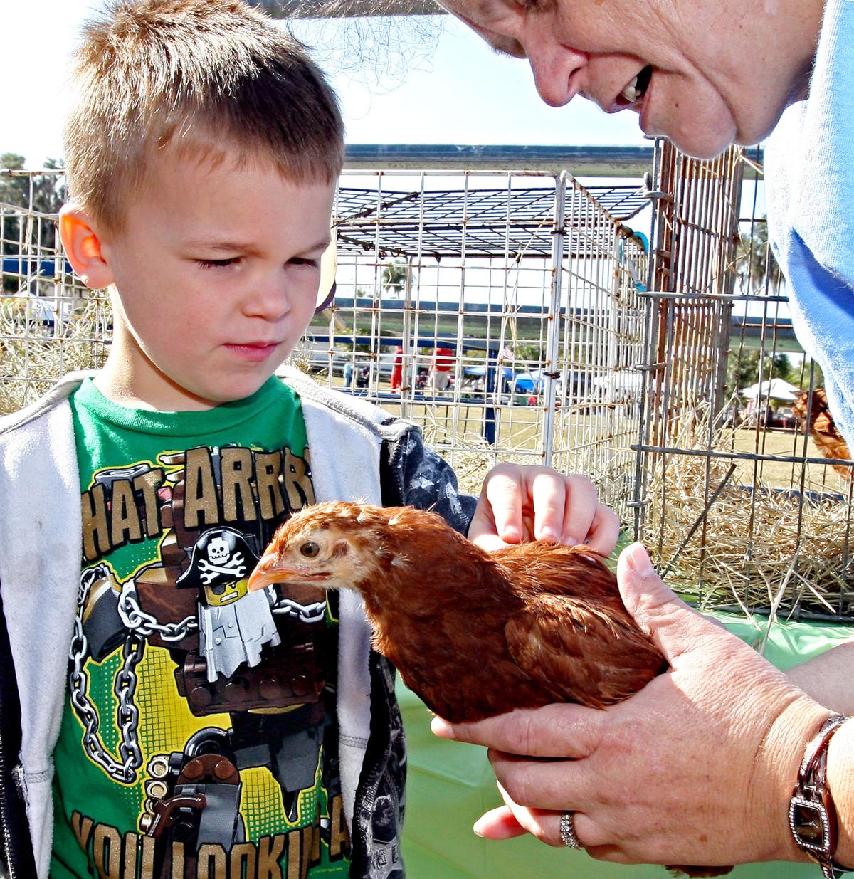 Cooter Festival kicks off Inverness event season Lifestyle