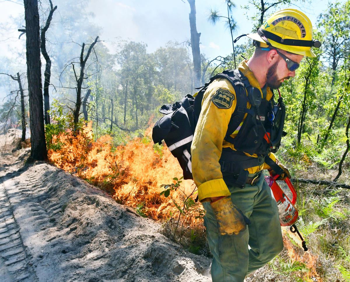 Florida's hottest job Fighting fire with fire Local