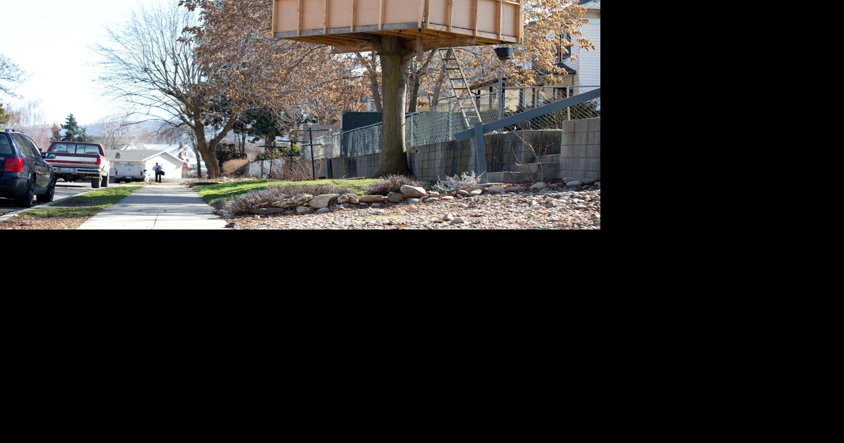 Washington homeowner fighting to keep treehouse | News ...