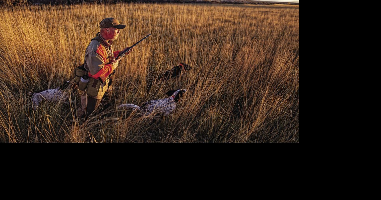 Goethe WMA general gun dog hunt runs Nov. 1828, all hunting