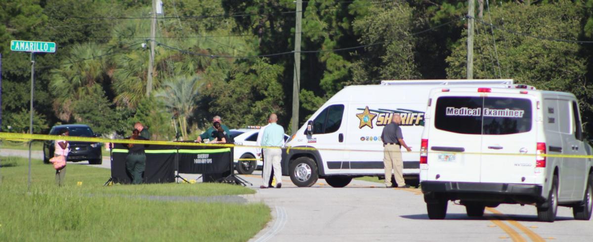 Motorist Finds Dead Body On Pine Ridge Boulevard Local News Chronicleonline Com