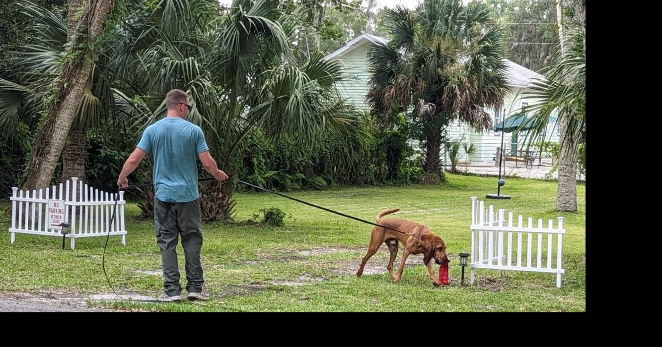 Bloodhounds headed to Tennessee | Local News | chronicleonline.com