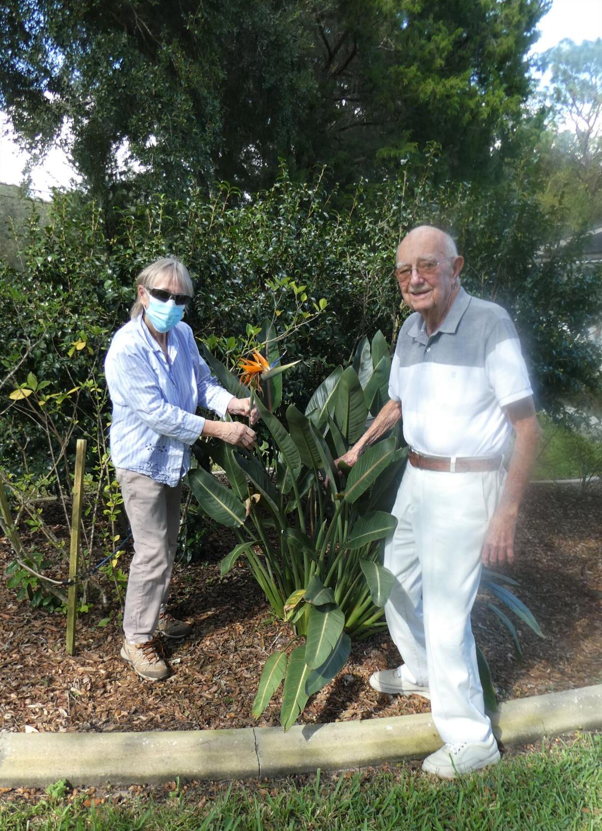 paradise outdoor living forest lake on Bird Of Paradise Home And Outdoor Living Chronicleonline Com