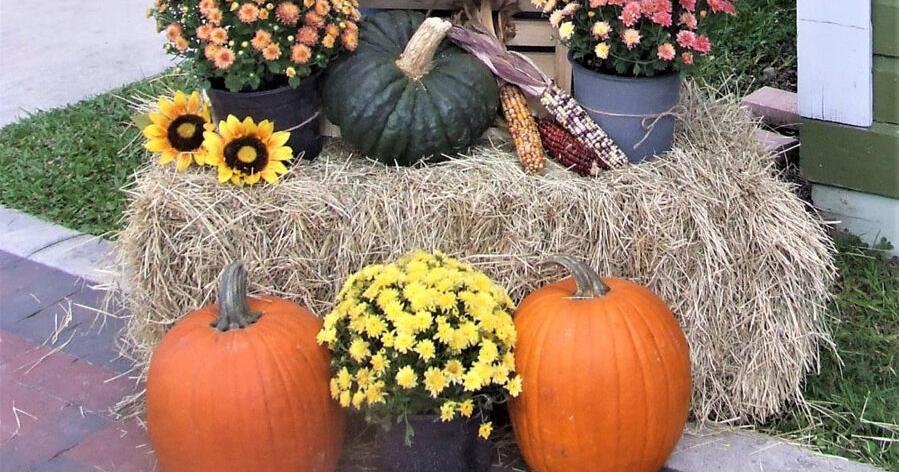 Annual Scarecrow Festival returns to Crystal River after two-year hiatus By CLAIRE PHILLIPS LAXTON Chronicle correspondent Oct 1, 2025 Oct 1, 2025 Updated 13 mins ago 1 min to read
