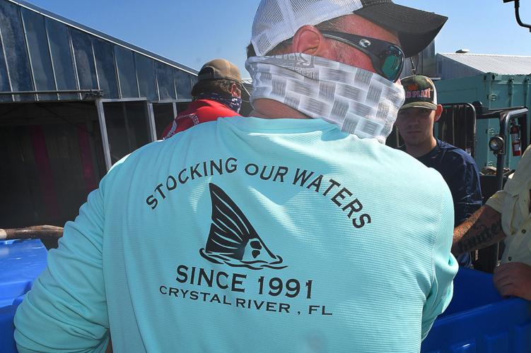 Save Red Fish 500 pounds of redfish fillets headed to struggling families | Local ...