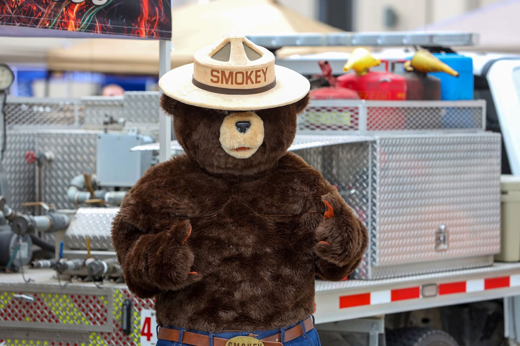 Smokey Bear marks 82 years of wildfire prevention | Local News