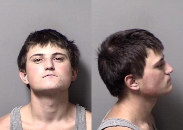 Man gets 11 years for trafficking meth | Local News | chronicleonline.com