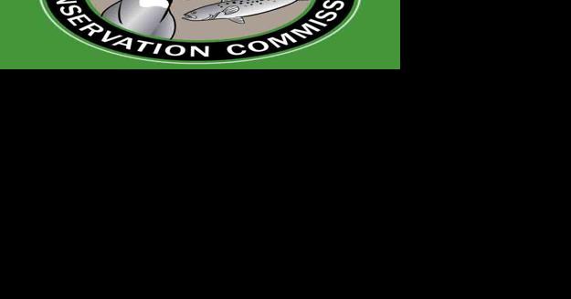 FWC conducting assistance for boating access grant program applicants - Vimarsana News
