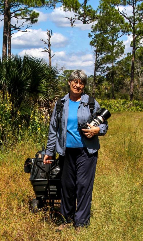 Nature Coast Lecture Series covers nature photography