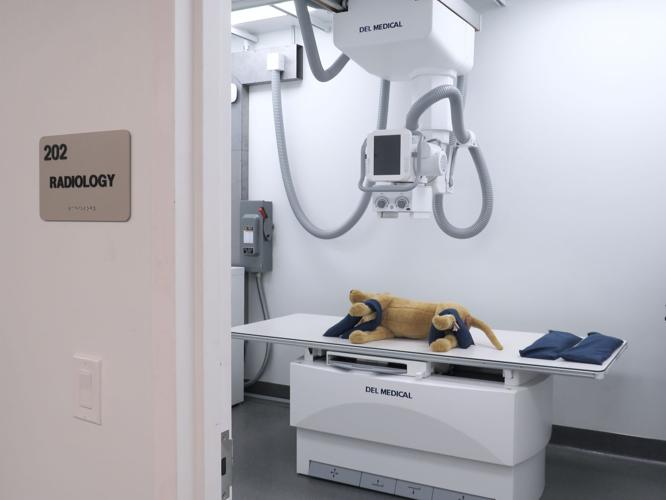 UF Veterinary Hospital at World Equestrian Center holds grand opening