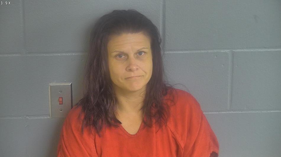 LEVY COUNTY ARRESTS Arrest Reports