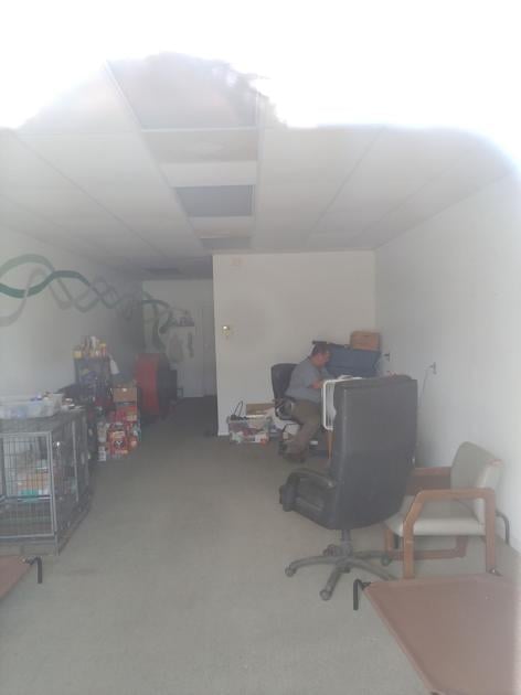 Officials Animal Rescue President Threatened To Shoot Shelter