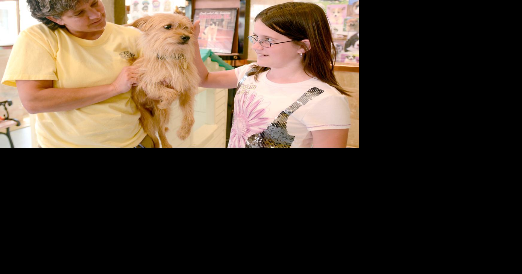 Multiagency pet adoptions to take place next weekend Local News