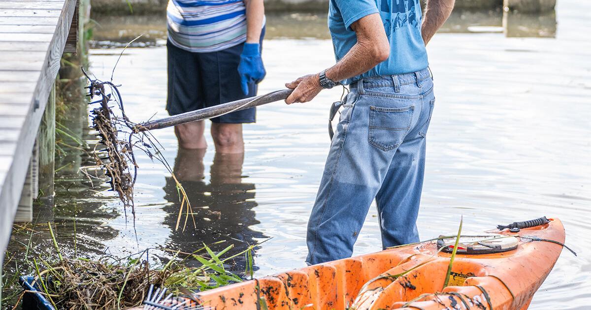 Community pitches in to clean Dunnellon beach (copy) - Vimarsana News