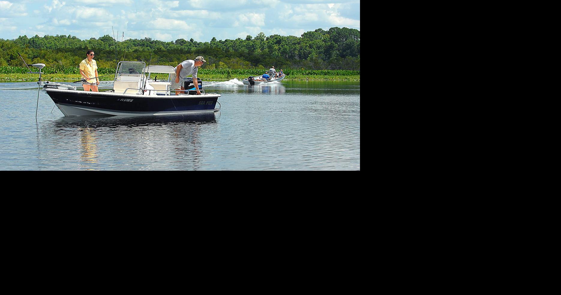 How much hydrilla is too much?