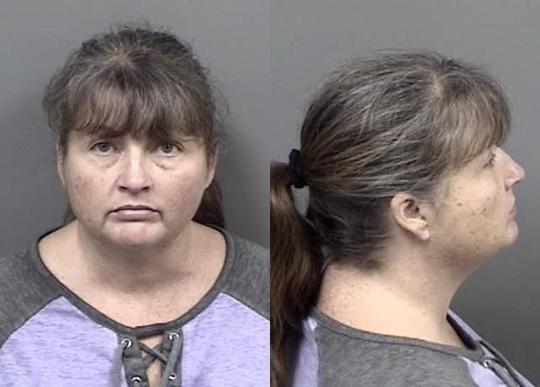 Citrus County mugshots from May 30 to June 6 | Crime &amp; Courts ...
