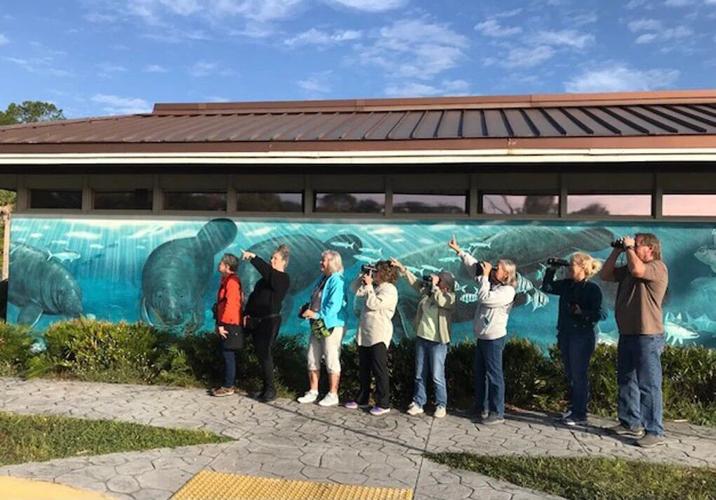 Bird walk, enrichment day on April calendar at Homosassa Springs park ...