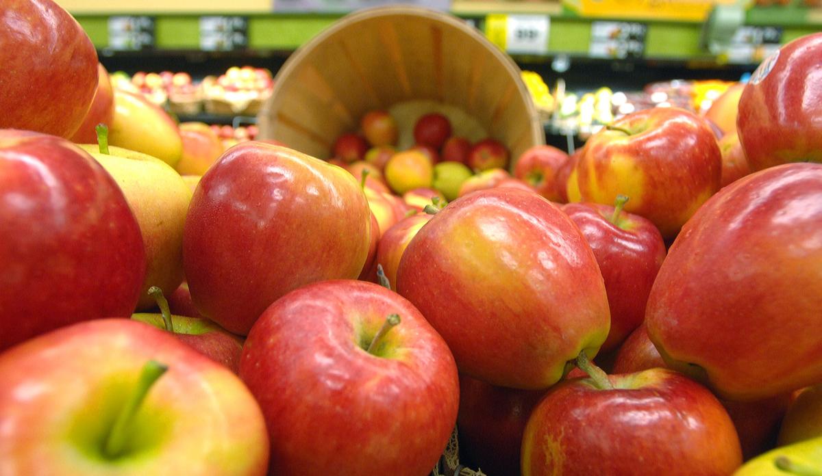 Bi-coloured Apple, Royal Gala Golden Bay Fruit Orchards, NZ