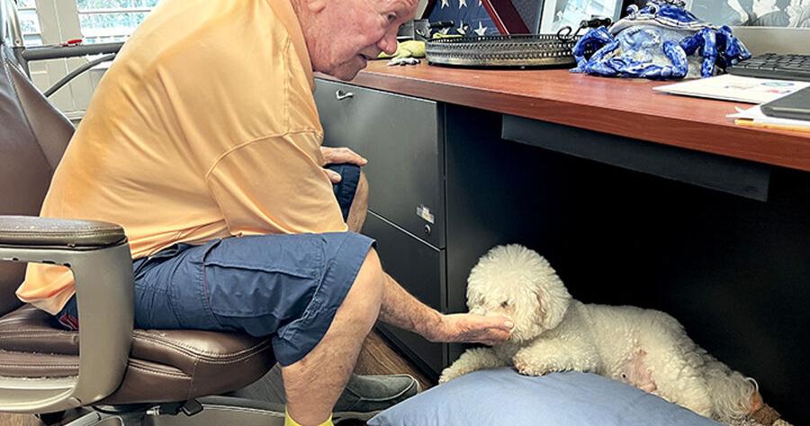 Seeking a home in confusing times | Local News | chronicleonline.com