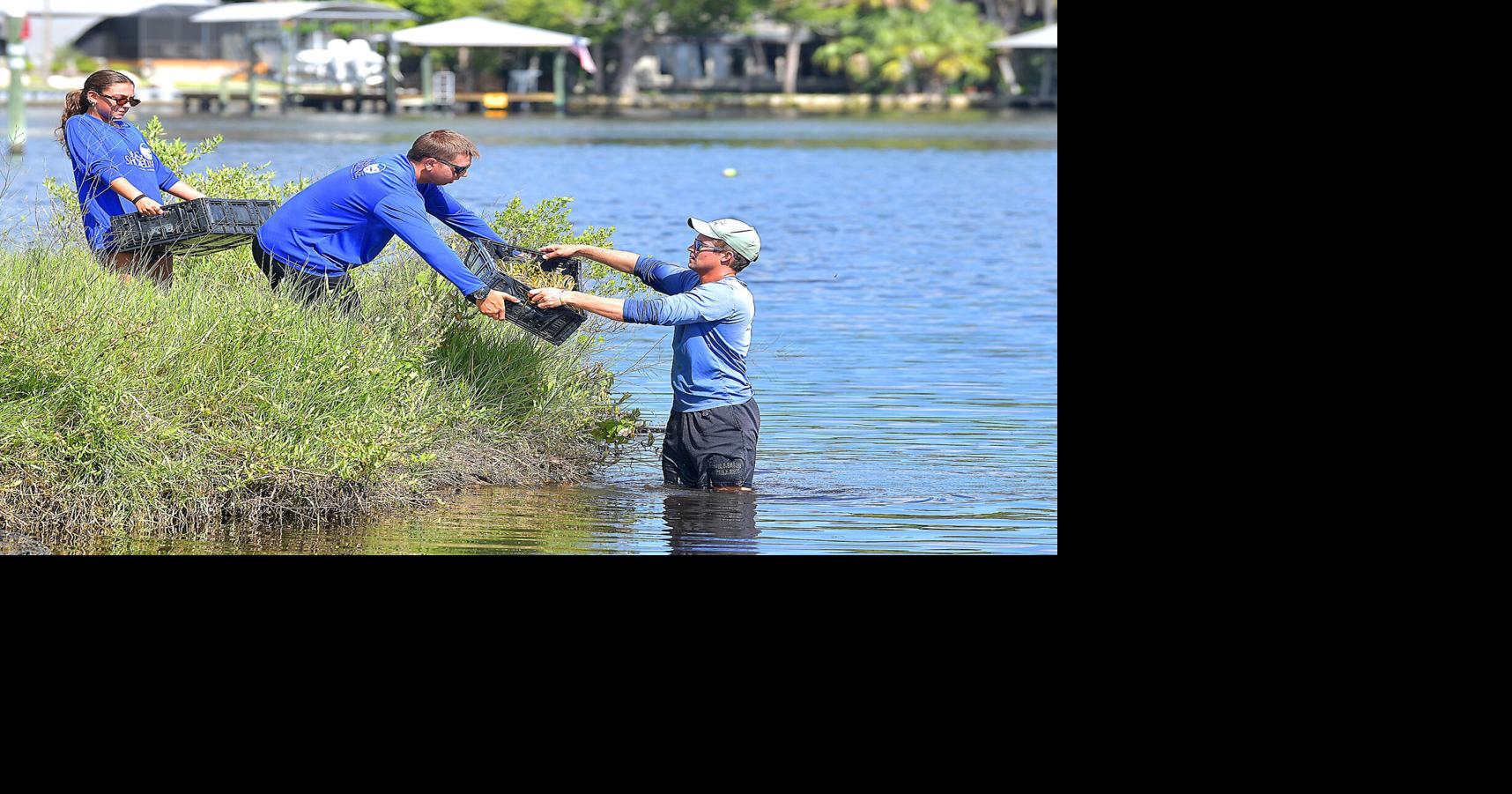 Homosassa River restoration takes shape