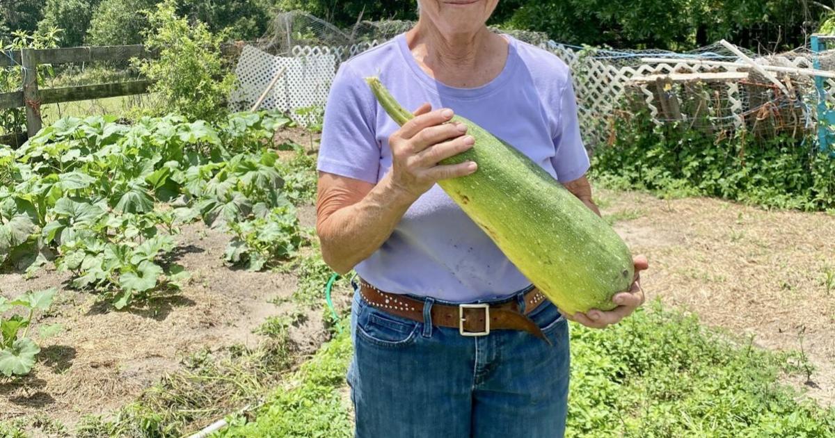 Jan Cubbage Cubbage Garden | Local News | chronicleonline.com