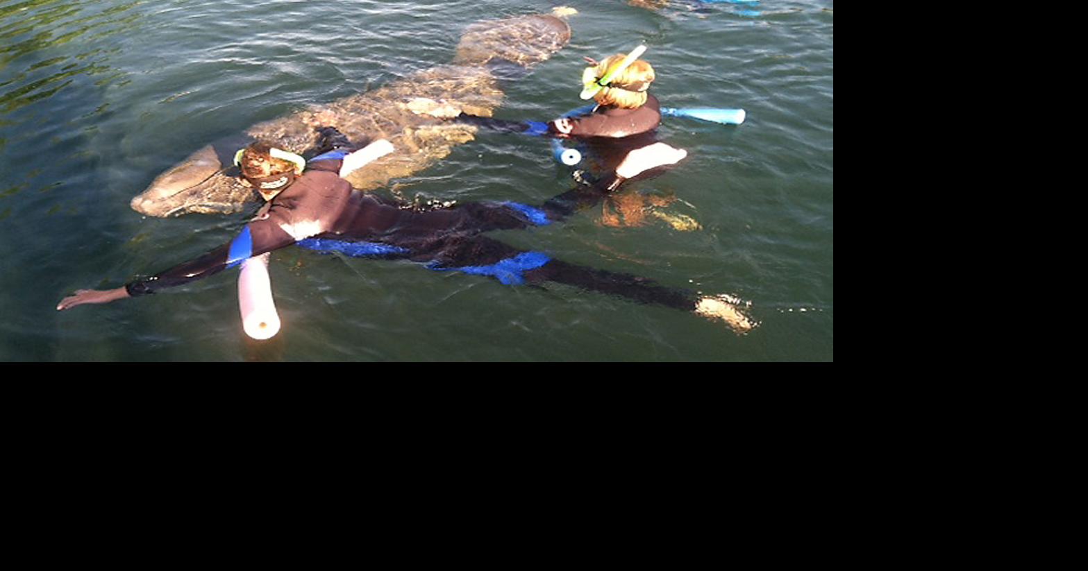 March heavy on mullets and manatees | Community Sports