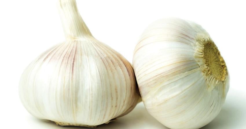 Gardening: By standard demand, right here’s easy methods to develop garlic | Residence and Outside Dwelling Gardening: By popular demand, here’s how to grow garlic | Home and Outdoor Living