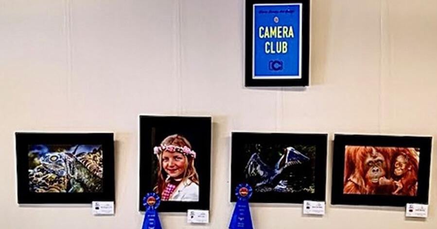 'Celebrating the Art of Photography' locally for National Photography Month