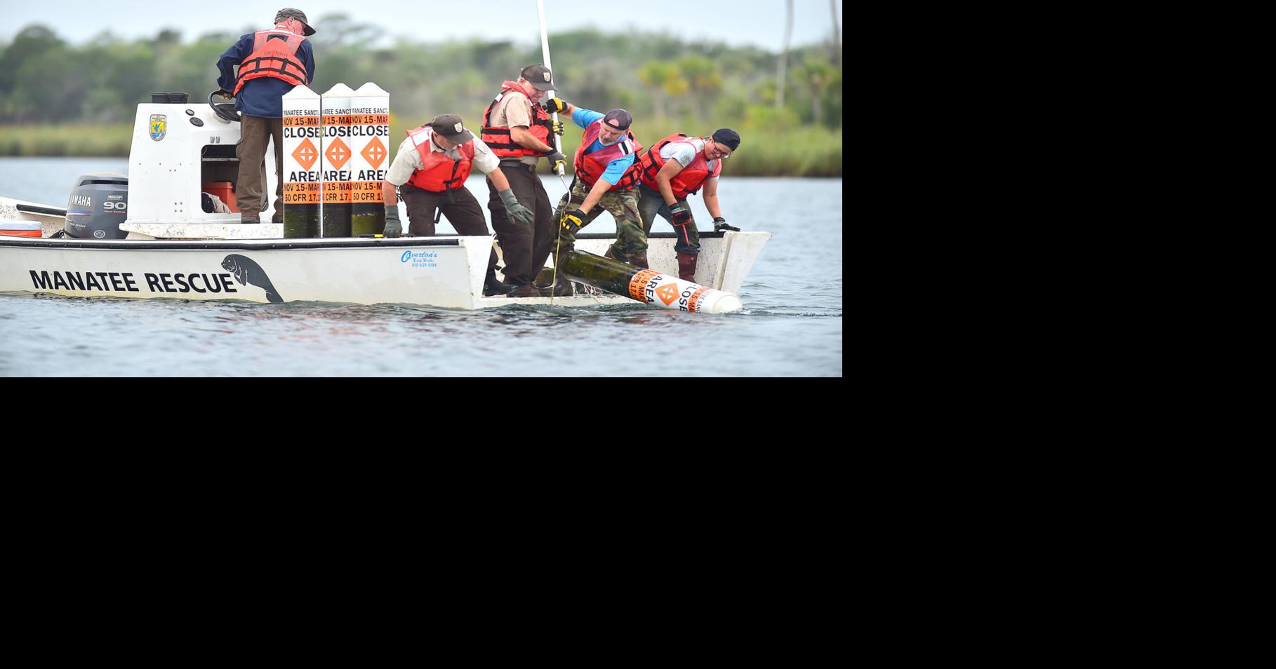 Great, extremely successful' manatee season ends for Citrus ...
