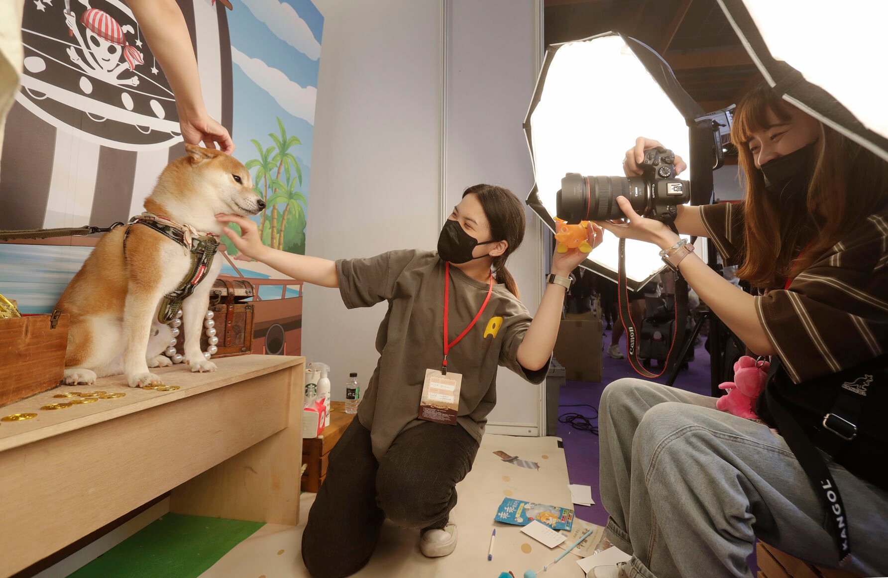 Taiwan Pets Fair | Nation % World AP News Of The Day | Chronicleonline.com